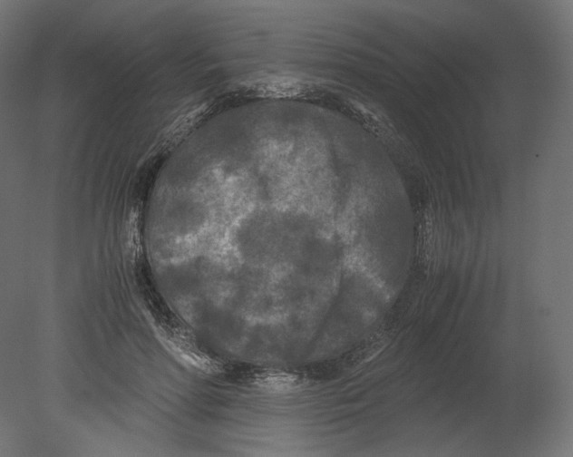 X0000080700598200701121753