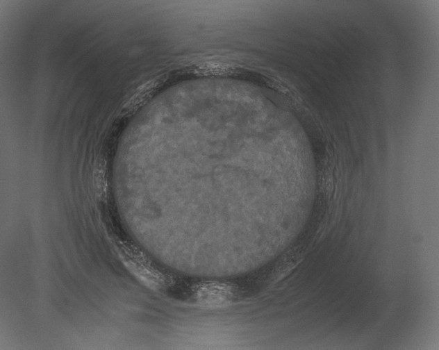 X0000080700599200701121753