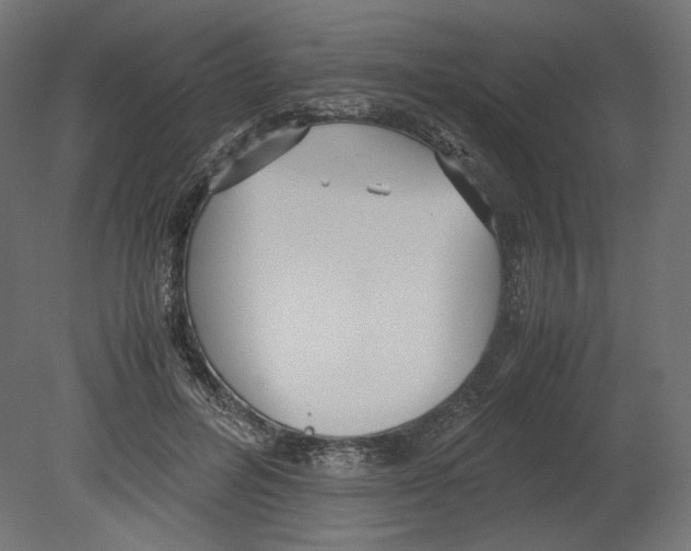 X0000080700600200701121753