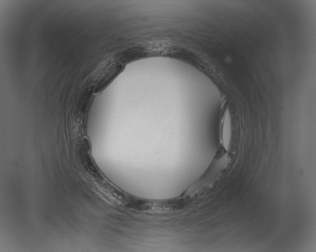 X0000080700601200701121753