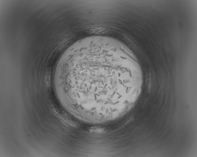 X0000080700602200701121753