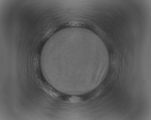 X0000080700603200701121753