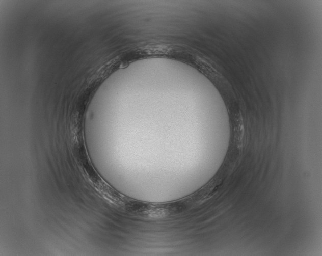 X0000080700604200701121753