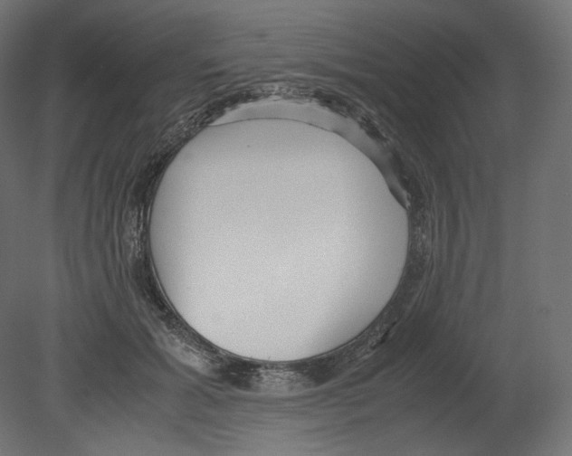 X0000080700605200701121753