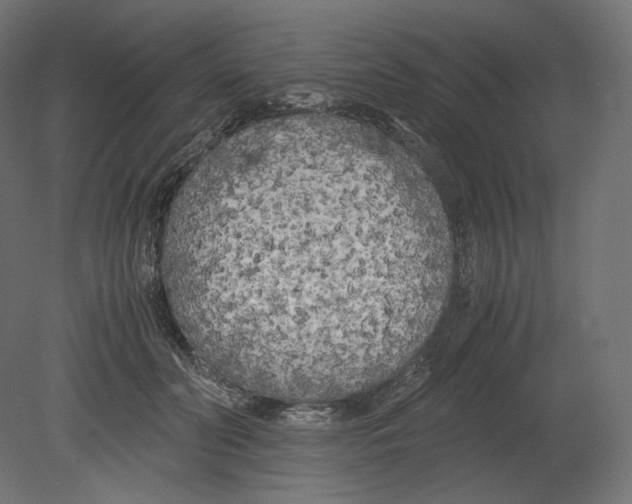 X0000080700606200701121753