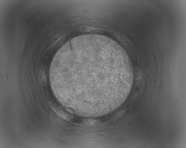 X0000080700607200701121753