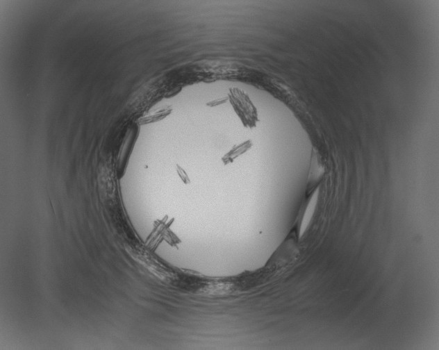 X0000080700609200701121753