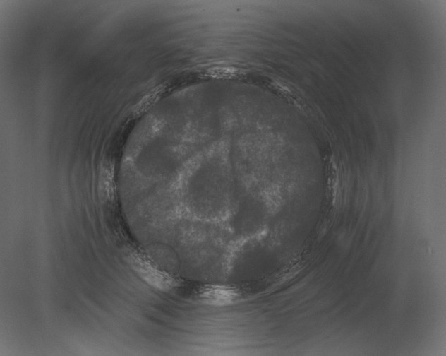 X0000080700610200701121753