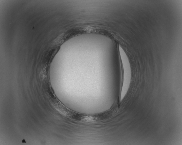 X0000080700611200701121753