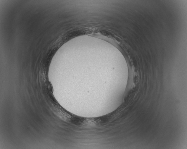 X0000080700613200701121753