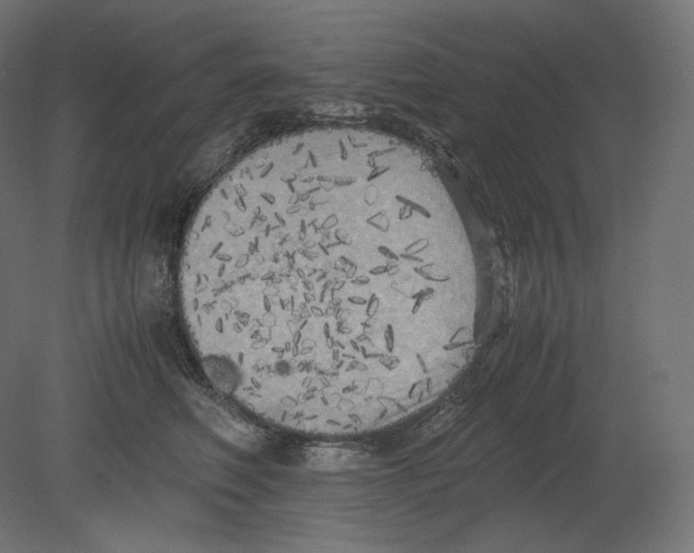 X0000080700614200701121753