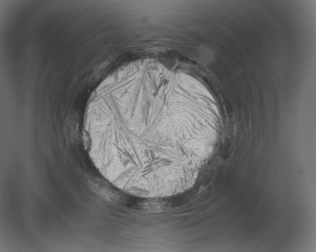 X0000080700615200701121753