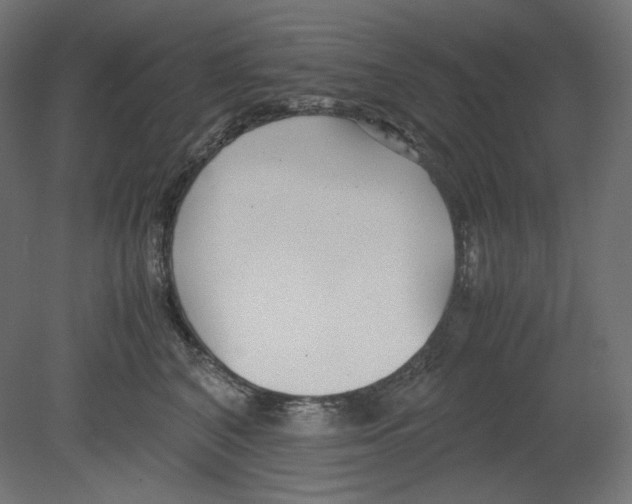 X0000080700616200701121753