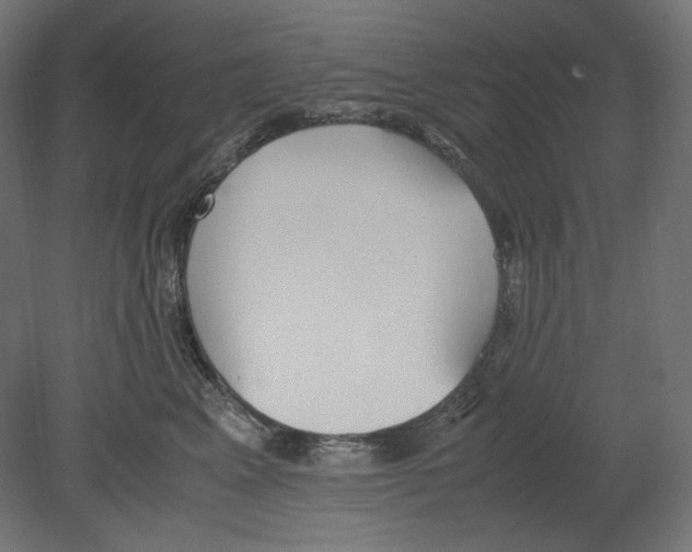 X0000080700617200701121753