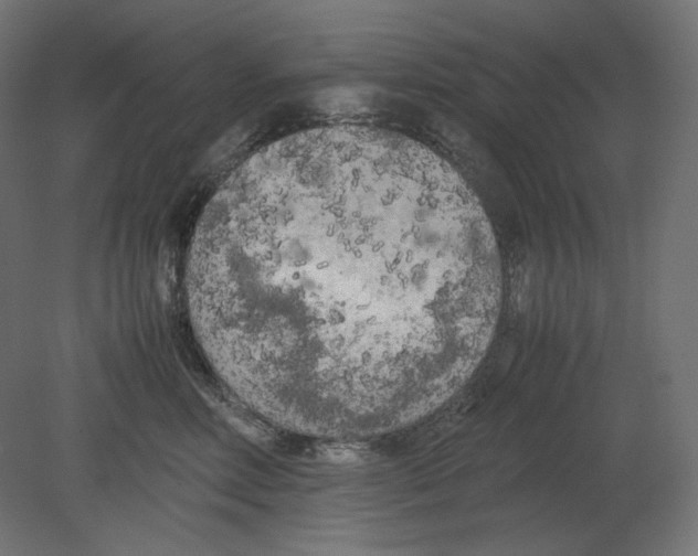 X0000080700618200701121753