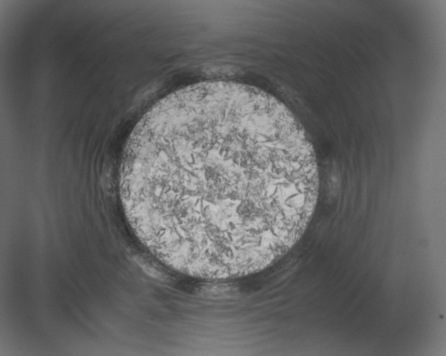 X0000080700619200701121753