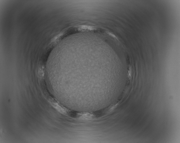 X0000080700621200701121753