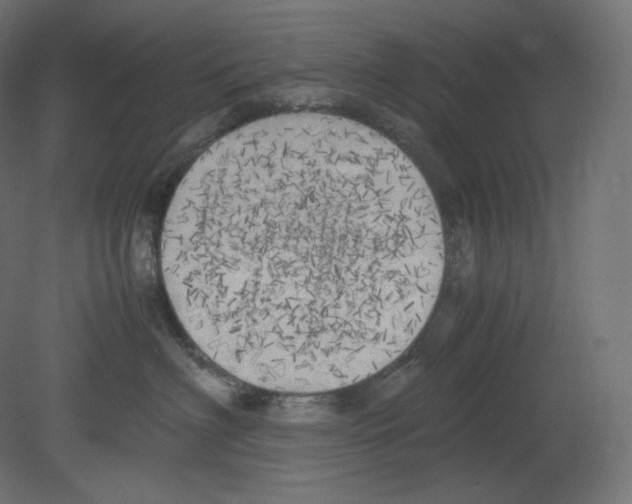 X0000080700622200701121753