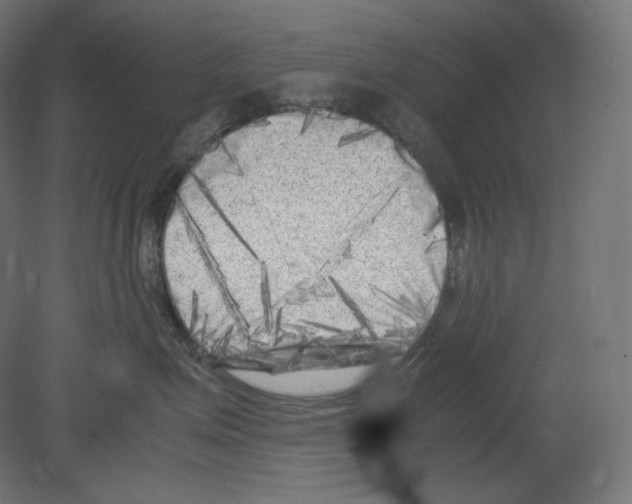 X0000080700623200701121753