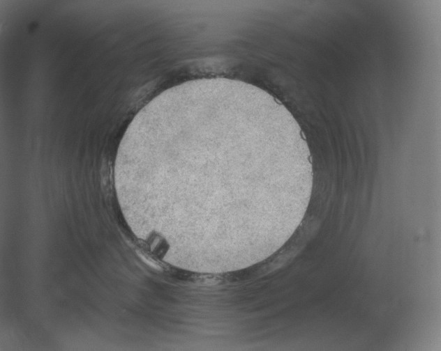 X0000080700624200701121753