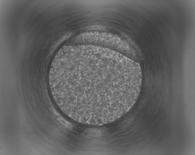 X0000080700625200701121752