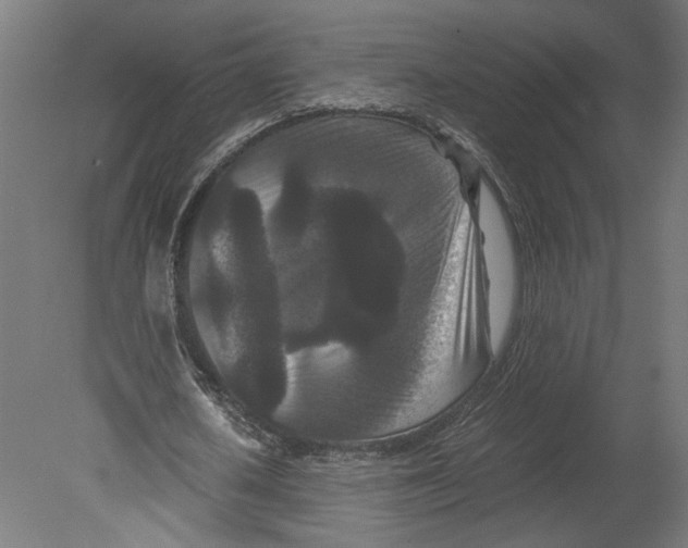 X0000080700626200701121752