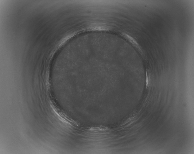 X0000080700627200701121752