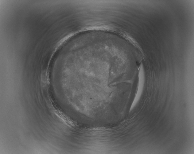 X0000080700628200701121752