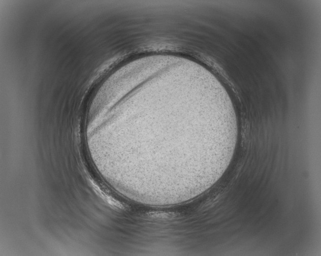 X0000080700629200701121752