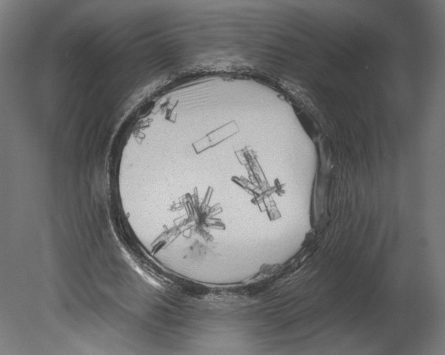 X0000080700630200701121752