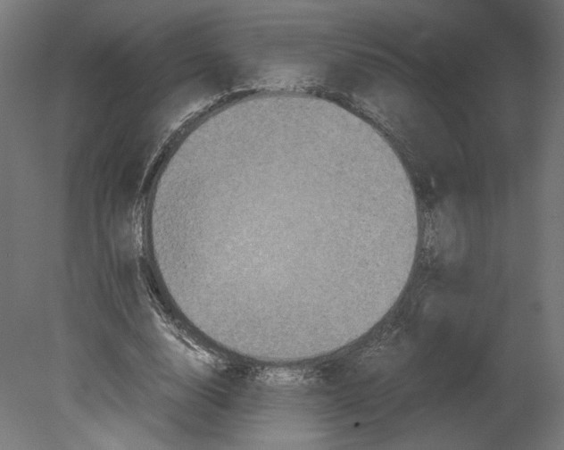 X0000080700632200701121752