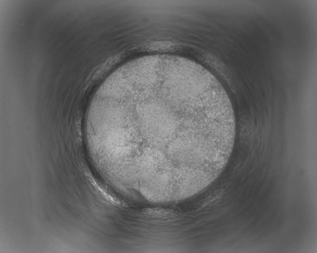 X0000080700633200701121752