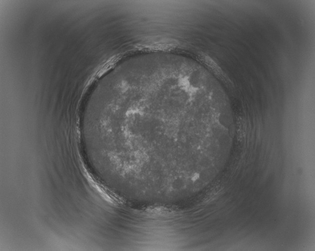 X0000080700634200701121752