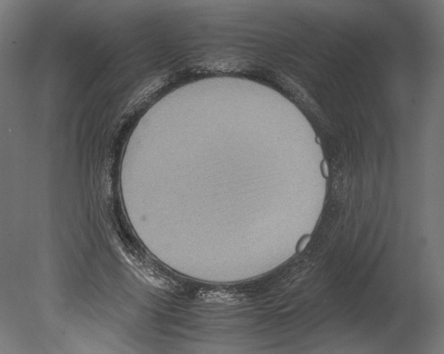 X0000080700635200701121752