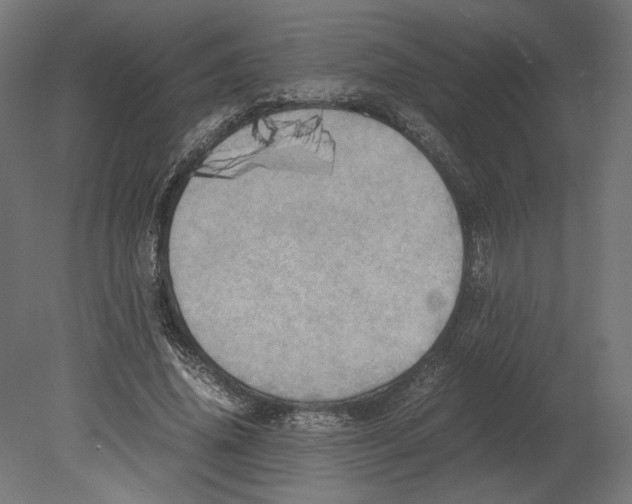 X0000080700636200701121752