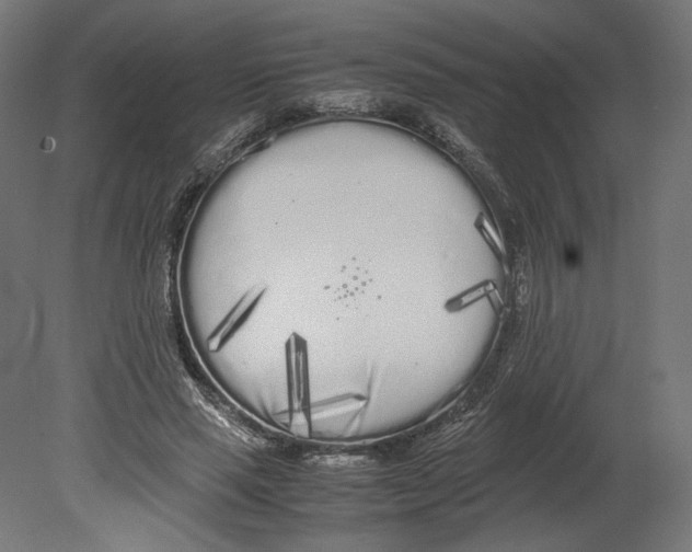 X0000080700637200701121752