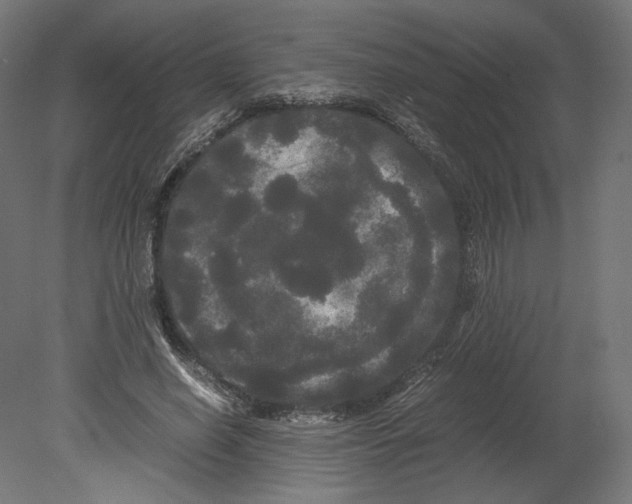 X0000080700638200701121752