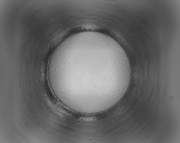 X0000080700639200701121752