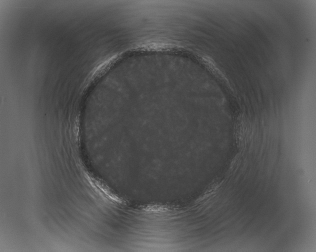 X0000080700640200701121752