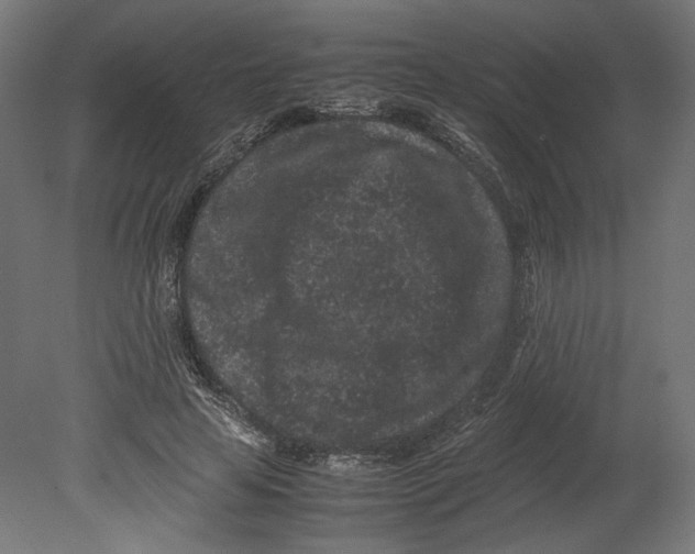 X0000080700641200701121752