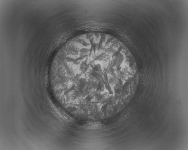 X0000080700642200701121752