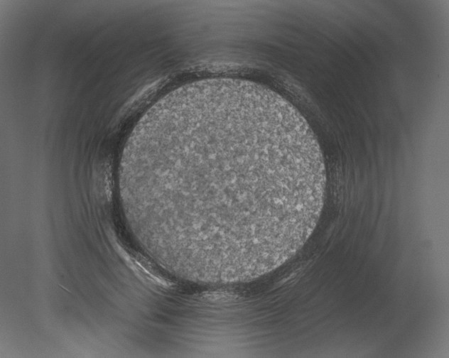 X0000080700644200701121752