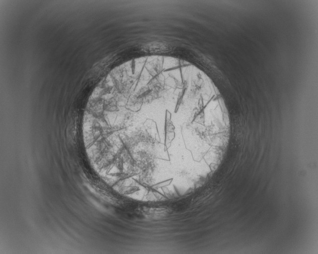 X0000080700645200701121752