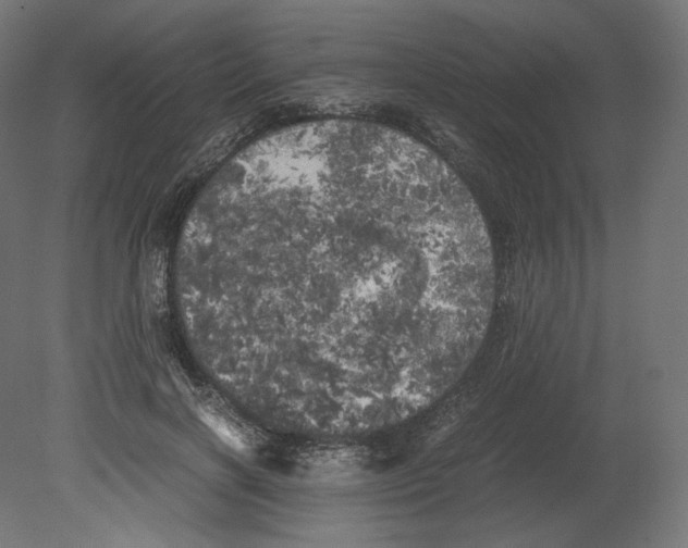 X0000080700646200701121752