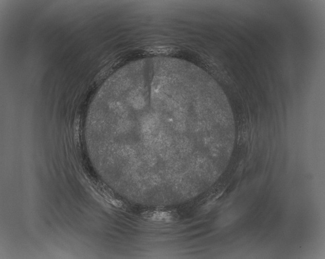 X0000080700647200701121752