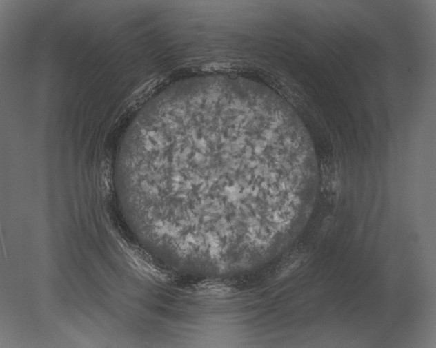 X0000080700648200701121752