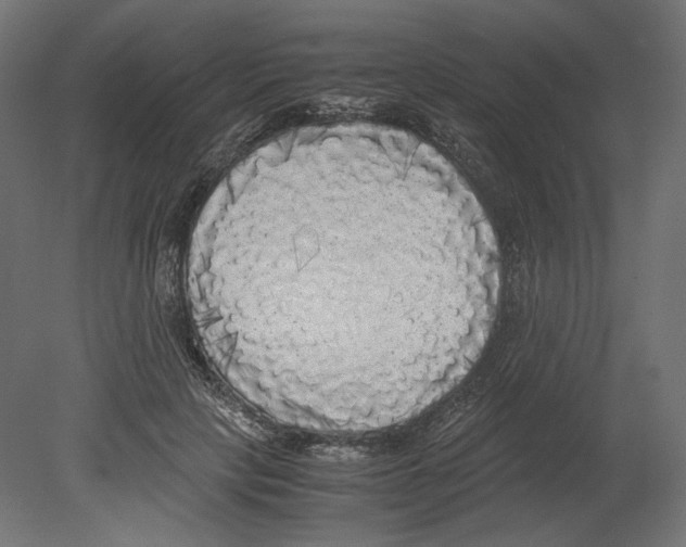 X0000080700649200701121752