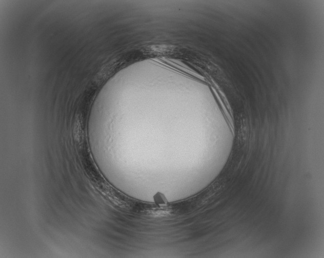 X0000080700651200701121752