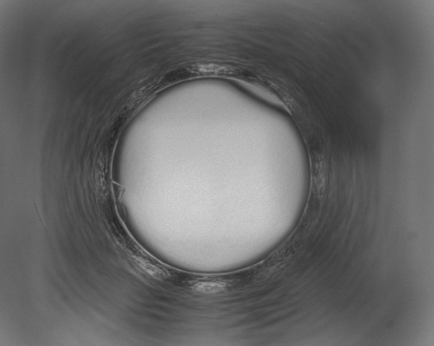 X0000080700653200701121752