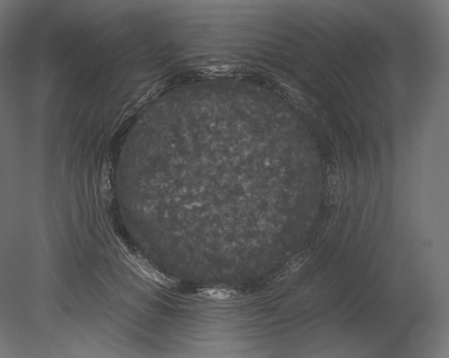 X0000080700654200701121752